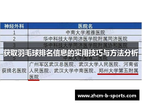 获取羽毛球排名信息的实用技巧与方法分析