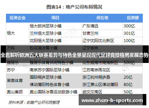 全面解析欧洲五大联赛差异与特色全景呈现现代足球竞技格局发展态势