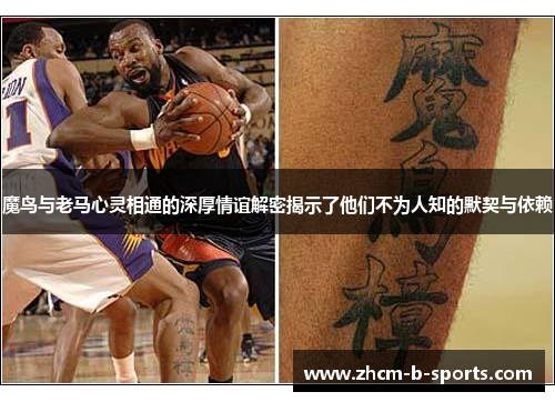 魔鸟与老马心灵相通的深厚情谊解密揭示了他们不为人知的默契与依赖