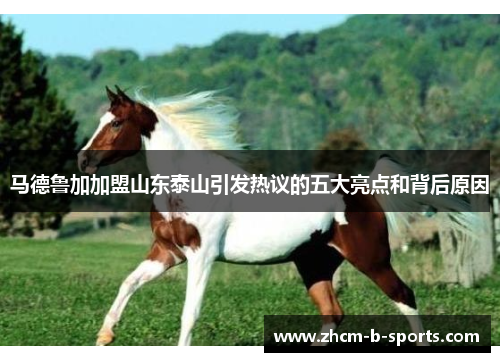 马德鲁加加盟山东泰山引发热议的五大亮点和背后原因
