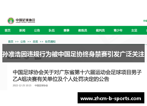 孙准浩因违规行为被中国足协终身禁赛引发广泛关注 孙准浩因违规行为被中国足协终身禁赛引发广泛关注